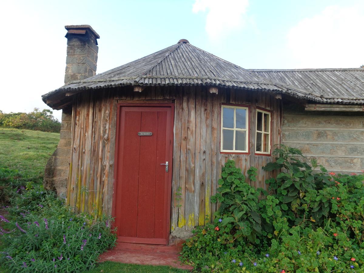 Castle Forest Lodge Mount Kenya National Park Exterior foto