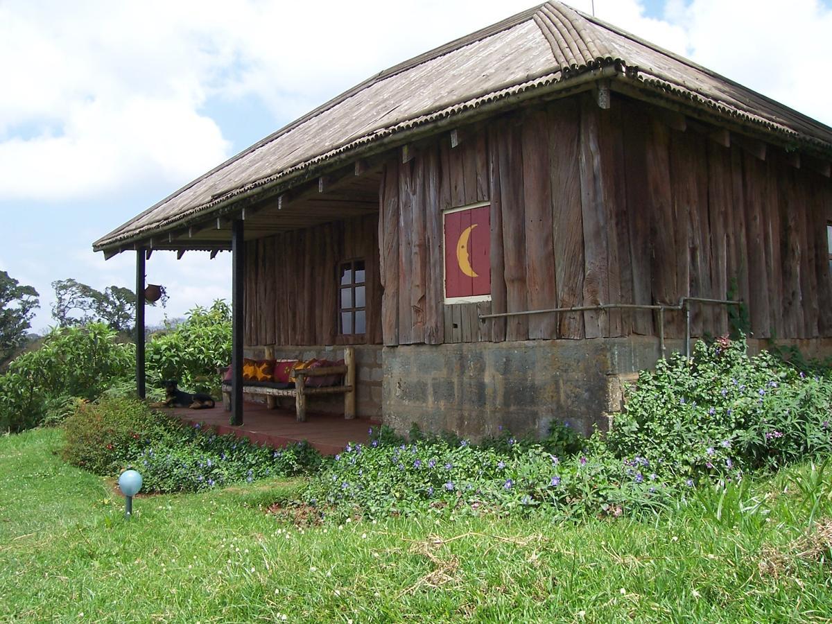 Castle Forest Lodge Mount Kenya National Park Exterior foto